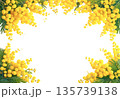 明るく黄色いミモザの背景透明フレーム　AI生成画像 135739138