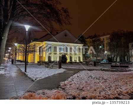 Winter night scene with snow and building in city park 135739213