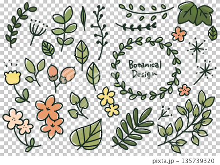 Botanical hand-drawn set (colorful) Botanical hand-drawn set (colorful) 135739320