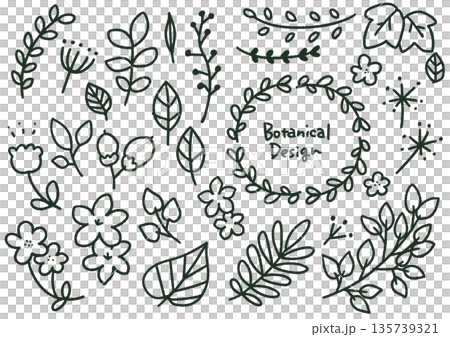 Botanical roughly hand-drawn set (monochrome) Botanical roughly hand-drawn set (monochrome) 135739321