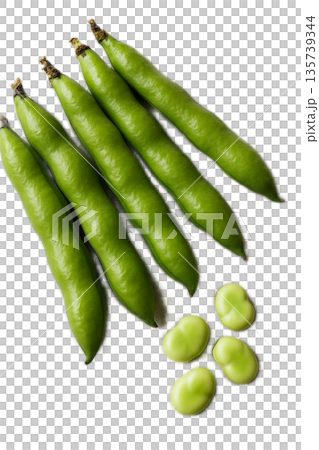 蠶豆，天空豆 135739344