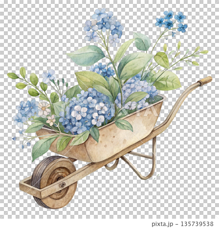 Soft watercolor illustration of a wheelbarrow with blooming blue flowers and green leaves white background  135739538