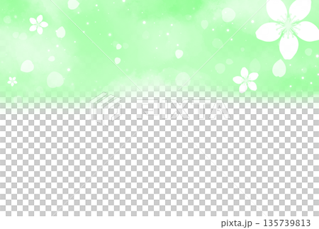 Background with pale green cherry blossom flowers and petals at the top Background with pale green cherry blossom flowers and petals at the top 135739813
