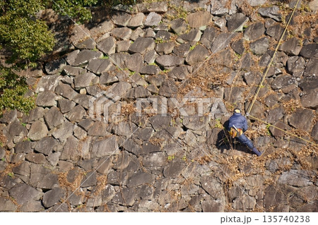 ロープを使って石垣の草を取る人 135740238