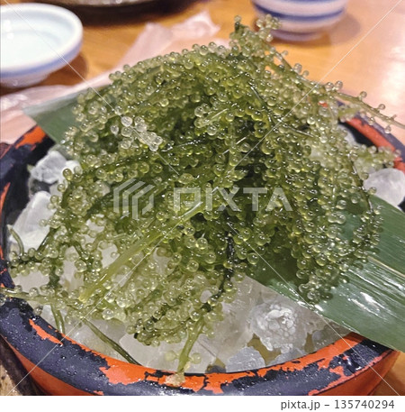 海ぶどう 海ぶどう 135740294