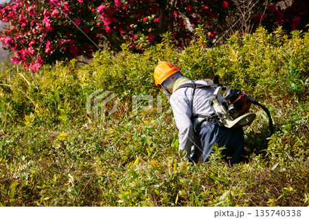 木の枝を整える人 木の枝を整える人 135740338