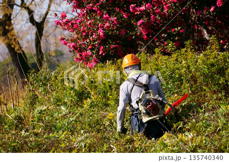 チェーンソーで木を整える男性 チェーンソーで木を整える男性 135740340