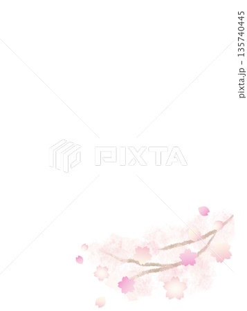 春色グラデーションの桜の手描き水彩背景フレーム　縦 135740445