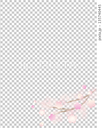 春色グラデーションの桜の手描き水彩背景フレーム　縦 135740445