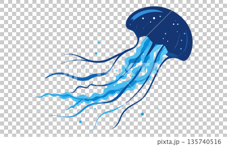 浮遊しているクラゲ 135740516