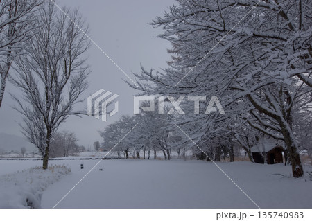 一面の雪景色と木々の風景（下部に広いコピースペース） 135740983