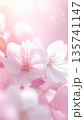 淡い光に包まれた桜の花びらが美しい春のマクロ写真 135741147