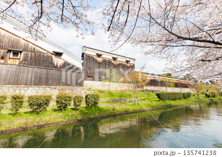 京都の桜咲く伏見十石舟（人物、ロゴ等編集済） 135741238