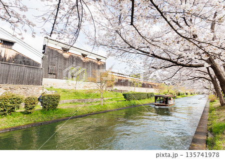 京都の桜咲く伏見十石舟(人物、ロゴ等編集済) 京都の桜咲く伏見十石舟(人物、ロゴ等編集済) 135741978