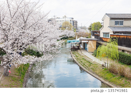 京都の桜咲く伏見十石舟（人物、ロゴ等編集済） 135741981