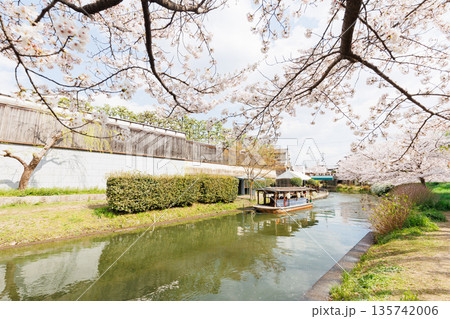 京都の桜咲く伏見十石舟（人物、ロゴ等編集済） 135742006