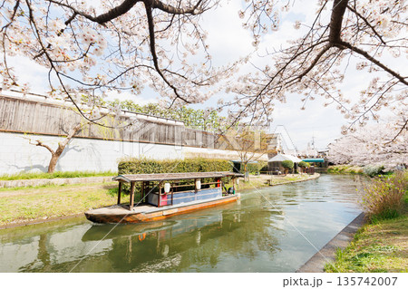 京都の桜咲く伏見十石舟（人物、ロゴ等編集済） 135742007