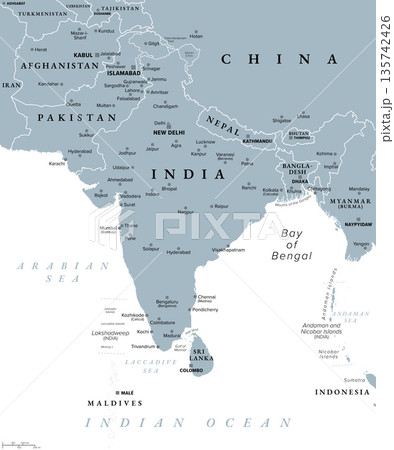 South Asia, a subregion of Asia, gray political map with borders, capitals and large cities. The states India, Pakistan, Afghanistan, Nepal, Bhutan, Bangladesh, Sri Lanka, and the Maldives. Vector 135742426