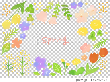 Spring flower frame 135742577