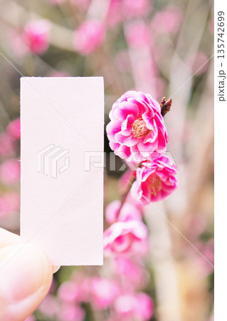 冬に咲く満開の紅梅の花の枝と薄ピンク色の和紙のタイトルフレーム 冬に咲く満開の紅梅の花の枝と薄ピンク色の和紙のタイトルフレーム 135742699