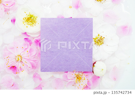 たくさんの梅の花を背景にした紫色の和紙の上品なタイトルカードのモックアップ たくさんの梅の花を背景にした紫色の和紙の上品なタイトルカードのモックアップ 135742734