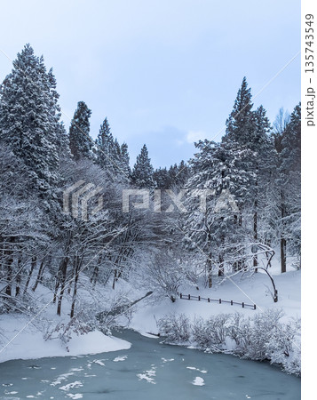 雪の積もった森林と池 135743549