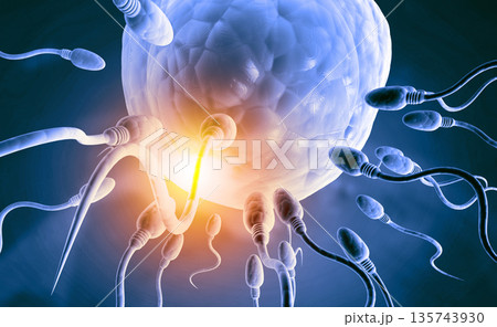 Sperm with egg Sperm with egg 135743930