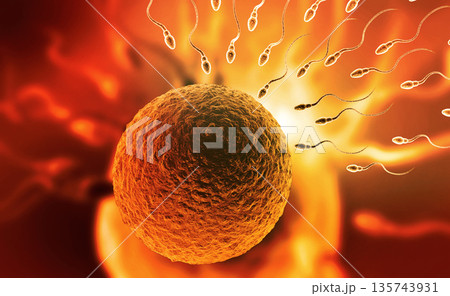Sperm with egg Sperm with egg 135743931