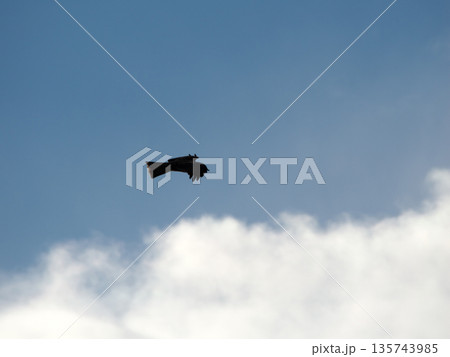 大空を飛ぶトンビ 大空を飛ぶトンビ 135743985