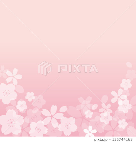 ピンク色の桜の花びらの背景イラスト。 135744165