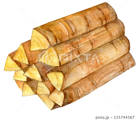 水彩イラスト　手描き　木材 135744567