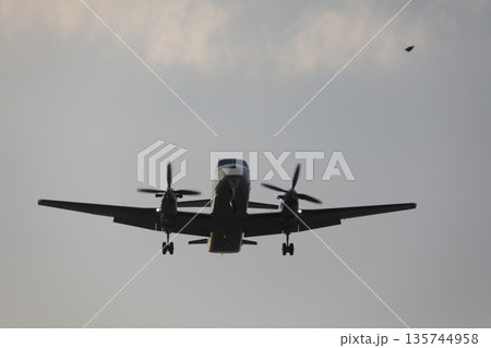 フォッカー 50 135744958