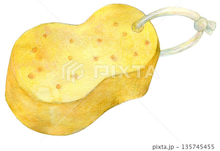 水彩イラスト 手描き 黄色いスポンジ 水彩イラスト 手描き 黄色いスポンジ 135745455