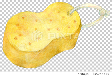 水彩イラスト 手描き 黄色いスポンジ 水彩イラスト 手描き 黄色いスポンジ 135745455