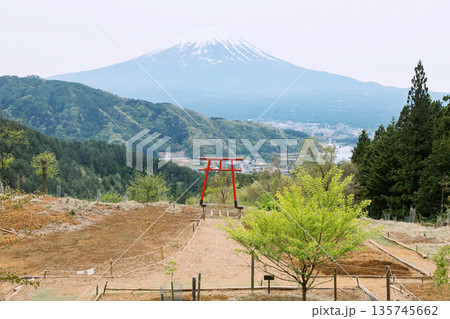 red torii gate of Kawaguchi Asama Shrine with mt. Fuji view red torii gate of Kawaguchi Asama Shrine with mt. Fuji view 135745662