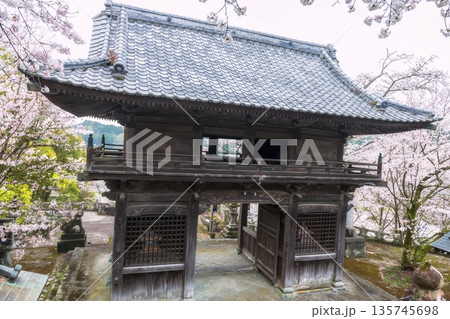 Yoshiura wooden sanmon gate with sakura blossom, Kashima Yoshiura wooden sanmon gate with sakura blossom, Kashima 135745698