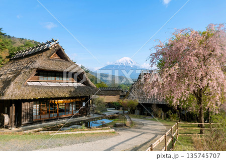 Saiko Iyashi no Sato Thatch house with mt. Fuji and sakura bloom Saiko Iyashi no Sato Thatch house with mt. Fuji and sakura bloom 135745707