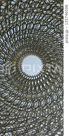 A large, circular metal lattice dome with concentric rings, creating a geometric architectural pattern A large, circular metal lattice dome with concentric rings, creating a geometric architectural pattern 135746506
