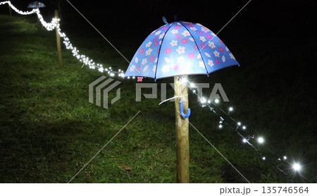 A blue umbrella with flowers is lit up at night 135746564