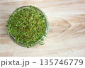 Close-up of lentil microgreens growing in a glass. 135746779