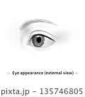 目のモノクロイラスト 135746805