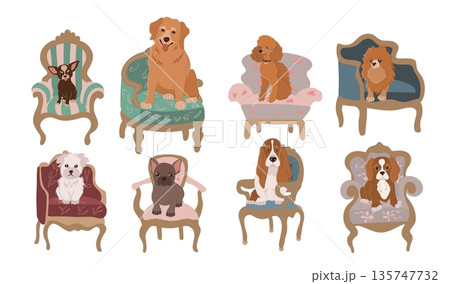 Dog Breeds in Empire Armchairs. Flat Vector Illustration Set Dog Breeds in Empire Armchairs. Flat Vector Illustration Set 135747732
