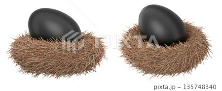 Black eggs in bird nests isolated on white transparent background. Black eggs in bird nests isolated on white transparent background. 135748340