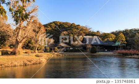 横浜市金沢区の称名寺の冬 135748861