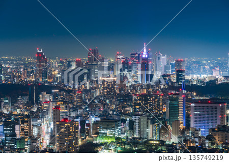「東京都」東京都心の都市夜景眺望 135749219