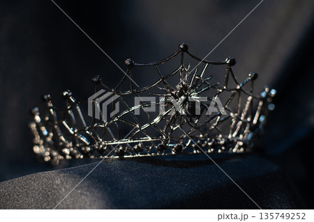 Gothic crown diadem with spider and web. Gothic crown diadem with spider and web. 135749252