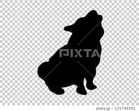 横向きの犬のシルエット 横向きの犬のシルエット 135749701
