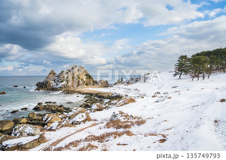 「青森県」雪景色の中須賀・種差海岸　八戸市 135749793