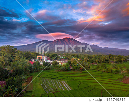 Beautiful morning view in Indonesia, panoramic landscape of rice fields with mountain ranges and clear sky 135749815