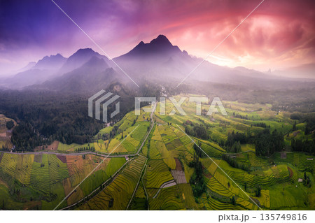 Beautiful morning view in Indonesia, panoramic landscape of rice fields with mountain ranges and clear sky 135749816